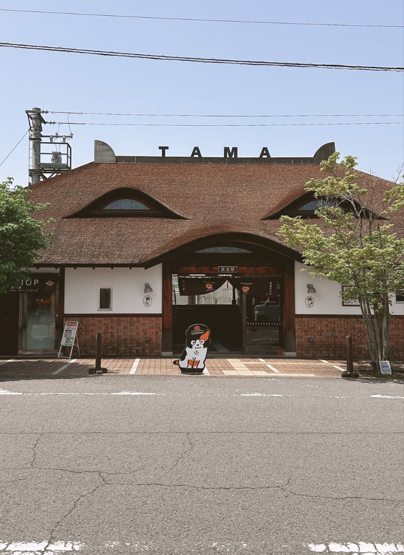 I visited a cat train station in Japan’s countryside. Here’s how you can, too.