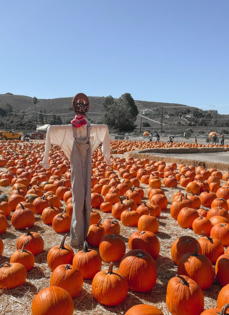 Fall in Los Angeles: 10 Essential LA Bucket List Ideas